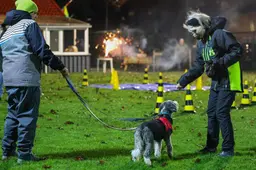 Op vuurwerkcursus in Sneek leren honden en hun baasjes om te gaan met geknal: ‘Op oudjaarsavond jankt hij alles bij elkaar’