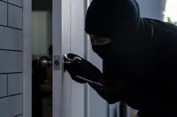 Man (44) uit Leeuwarden veroordeeld voor diefstal flatscreens en boa-emblemen uit Arriva-gebouw
