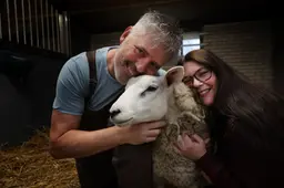 Vorige maand stond Toby nog naamloos en doodziek in een weiland, nu is hij een ster op Instagram