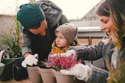 Vorst komt eraan: zo maak je je tuin winterklaar en voorkom je dat je planten kapotvriezen