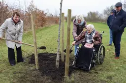 Eeuwelinge Fetsje: boom in ‘100-jierrigen bosk’