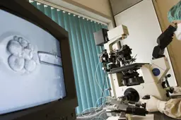 Embryo’s kweken akkoord, maar wel met sterk geborgde juridische criteria | LC commentaar
