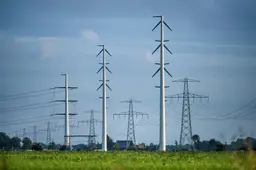 Onderzoek effecten nieuw hoogspanningstraject en voorkom nieuwe slachting onder vogels | opinie