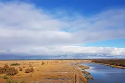 Provincie wil boer meer verleiden om grond te verkopen voor natuur. Extra steun bij bedrijfsverplaatsing