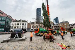 Niet de grootste kerstboom in Leeuwarden, wel eentje met een mooi verhaal