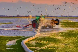 Veehouder Wytse verdrinkt muizen om grasland te beschermen: ‘It is gewoan in ergernis’