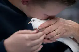 Zo leven blinde en slechtziende kinderen bij Visio in Haren. ‘We leren ze dat de wereld groter is dan deze veilige bubbel’