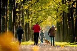 Zacht weer houdt aan, temperaturen tot 13 graden en zon