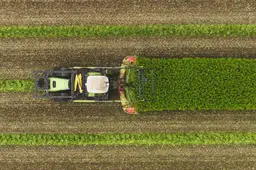 Waddenfonds investeert in hennep als oplossing tegen verzilting