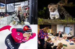 Fryslân mag 250 steenmarters doden in weidevogelgebied &amp; jeugdsoos in Rottevalle is nu klaslokaal | nieuws uit Friesland van 18 december