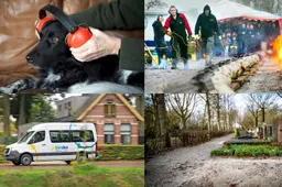 Jobinder krijgt gelijk van gerechtshof &amp; zo ga je met je huisdier om als buiten vuurwerk knalt | nieuws uit Friesland van 30 december