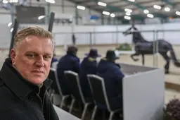 Henk Lassche wil de rust terugbrengen bij het Friese paardenstamboek