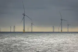 Vissers deden in zomer lugubere vondst boven Schiermonnikoog: schedel blijkt van vermiste man uit Den Haag