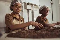 Overheid trekt weg dwars door bedrijf: koffieproducent GUZO uit Surhuisterveen in grote problemen