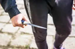 Celstraf en smartengeld betalen voor steekpartij op camping in buurt van Leeuwarden
