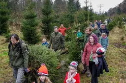 Stormloop op verse kerstbomen uit het Kuinderbos. ‘Ik denk dat er een kassa bij moet komen’