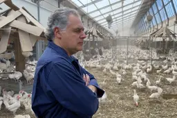 Kippenboer Ruud is veganist en twijfelt of hij door moet gaan. ‘Wat doen we de dieren aan?’
