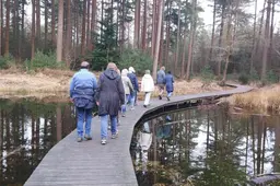 Goede voornemens voor 2026? ‘Begin met wandelen bij WiK Drachten’