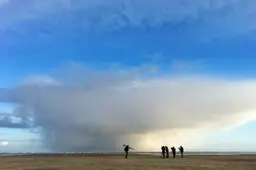 ‘Kom ons maar halen, het eiland is verdwenen.’ Vasco rouwt om het vogeleiland Simonszand