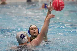 Trainingsgenoten worden even tegenstanders in de waterpoloderby bij Orca. ‘Als je naar een verkeerde kleur gooit, schiet het niet echt op’