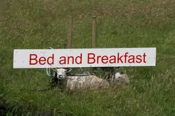 Oplichter B&amp;B’s Warten en Munnekeburen krijgt maand cel: hij moest er even tussenuit
