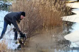 Het wordt koud en we krijgen ijs! Maar wat voor ijs? Sneeuwijs of ijzelijs? Dit is ons ijs-abc