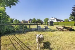 Kort geding over 550 vierkante meter in Damwâld: ‘Ik voel me niet serieus genomen’