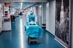 Meer organen in betere conditie: UMCG helpt steeds meer patiënten met transplantatie