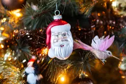 Wil je geen tapijt van dennennaalden in huis? Zo ruim je vakkundig de kerstboom op