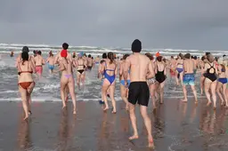 Bikkels van Terschelling lusten de Noordzee rauw