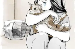 Als Ilse (29) uit Leeuwarden vlucht voor haar vriend blijft de kat achter. Stichting Mendoo en Fier brengen ze weer samen