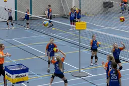 Hoe volleybalvereniging Stasko in Stiens van geen jeugd naar de snelst groeiende jeugdopleiding van Noord-Nederland ging