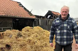 Albertjan (55) uit Grijpskerk redt dertig paarden en pony’s uit brandende stal: ‘Ze wilden er eerst niet uit’