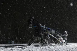 Belslydjeien maakt van Burgum een winters sprookje. ‘Dit is uniek’
