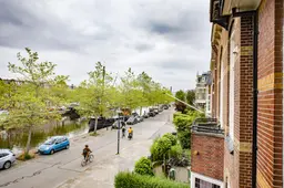 Alle bomen ‘gekandelaberd’ langs Emmakade-Zuid in Leeuwarden: komt de fietsstraat nu echt?