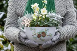De winter in geuren en kleuren