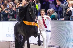 LIVE | Welke Fries wordt Algemeen Kampioen? Volg hier alles over de Hengstenkeuring 2026