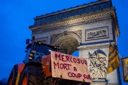 Brussel kan met het Mercosur-verdrag zijn macht tonen tegenover Trump en Xi | LC commentaar