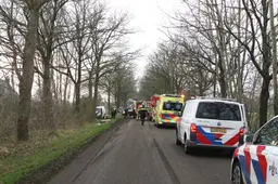 Man (31) knalt tegen boom bij Ureterp door modder op de weg. OM eist werkstraf en rijontzegging tegen trekkerrijder
