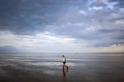 Natuurclubs vragen informateur om prioriteit voor bescherming van Waddenzee. ‘Per brief, je kunt niet mailen’