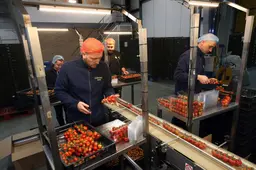 Waar zijn de arbeidsmigranten uit Waadhoeke gebleven? Misschien wel in Leeuwarden, maar gemeente tast in het duister