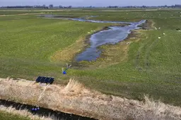 Fryslân aast op 4 miljoen euro extra voor weidevogel en landschap
