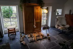 Jager die hond doodschoot in Wapse mocht 's nachts jagen op vossen. Jagersvereniging: 'Weet je niet zeker wat je ziet, dan schiet je niet'