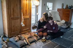 Doodgeschoten hond Benji wordt opgegraven voor onderzoek naar schietende jager in Wapse. 'Hoe meer bewijs, hoe beter'