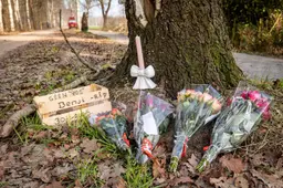 Vier dagen na doodgeschoten hond in Wapse: bloemen gelegd en Kamervragen
