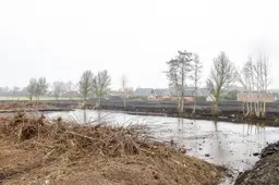 Boeren en vogelwacht Balk: ‘Provincie legt rode loper uit voor wezel naar weidevogelgebied’
