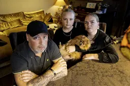 Mark en Sabina uit Leeuwarden zoeken al twee jaar naar hun vermiste chowchow Paco