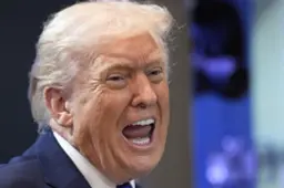 Hooggerechtshof vindt heffingen Trump onwettig. Besluit is zegen voor democratie VS | LC commentaar