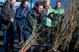 Gratis bomen en struiken uitgedeeld in Leeuwarden: ‘Win-winsituatie’ voor mensen, planten en dieren 