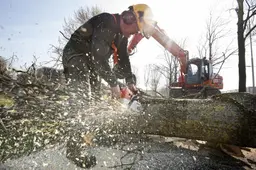 Oeps, Waadhoeke moet nog ergens negen voetbalvelden aan bomen herplanten – maar waar?